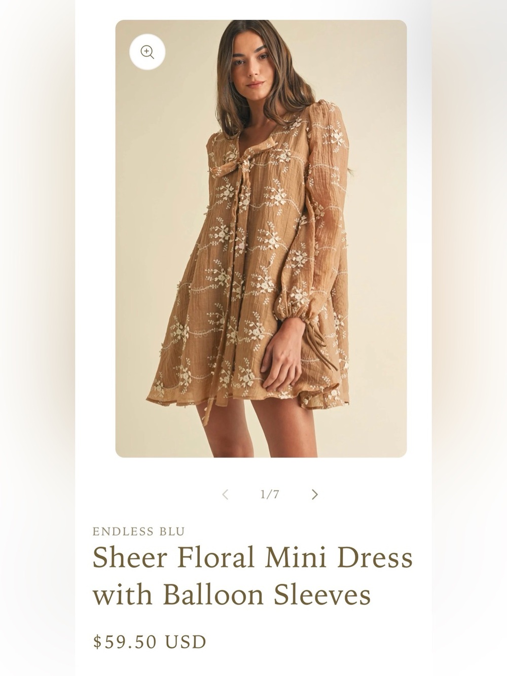 Endless Blu Sheer Floral Balloon Sleeve Mini Dress - Size Large